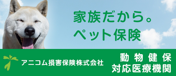 Capp活動 大阪市淀川区の動物病院 みゅう動物病院